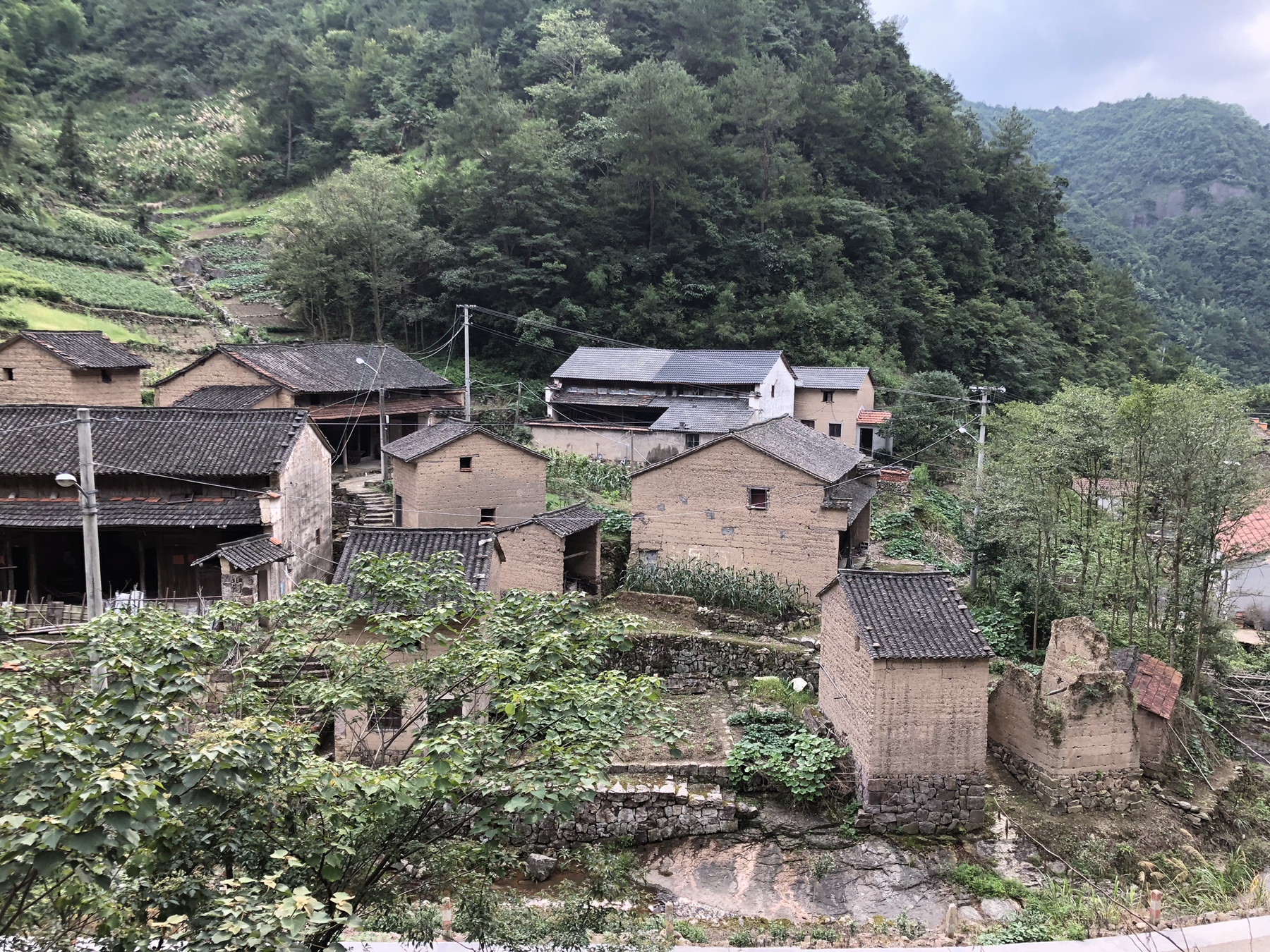 澳門6766網站net集團舉行“千企結千村 消滅薄弱村”鄉村基金設立暨村企結對簽約儀式